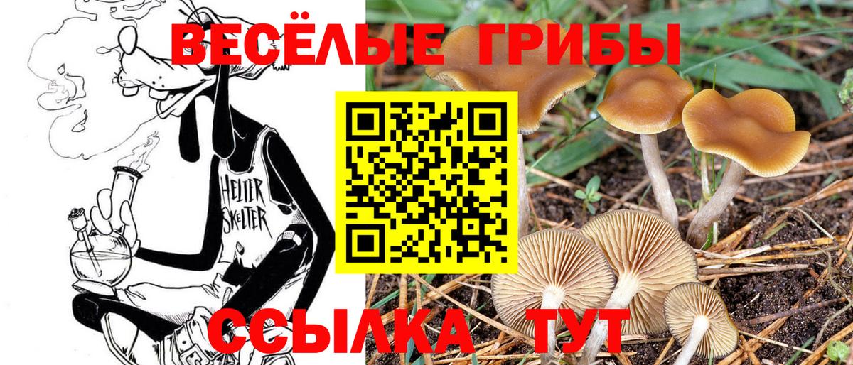 Краснодар  Псилоцибиновые грибы прущие грибы  купить наркоту  Вход с VPN  Галлюциногенные грибы Psilocybine cubensis 
