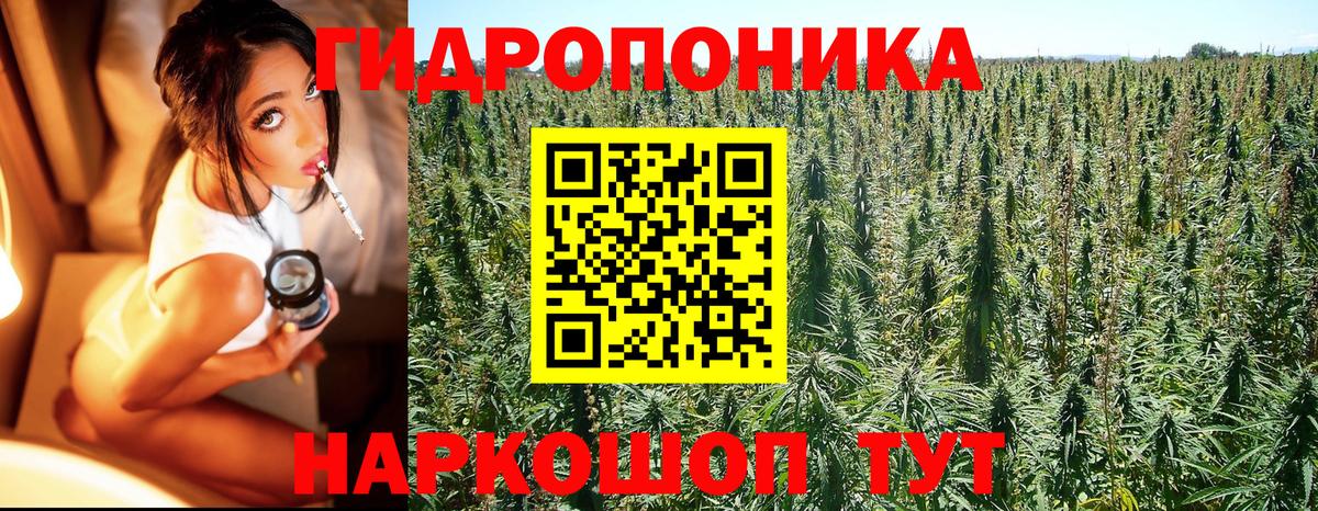 Канабис White Widow Краснодар